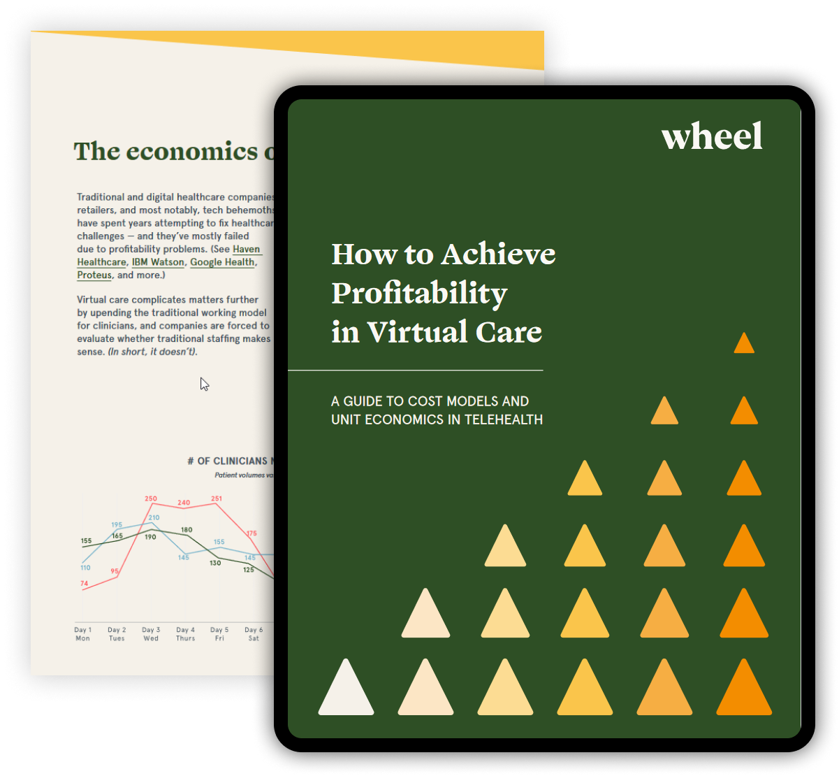 how-to-achieve-profitability-in-virtual-care